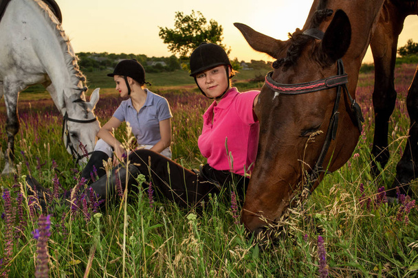 Ystävälliset naiset istuvat ruskeiden ja valkoisten hevosten vieressä, jotka laiduntavat niityllä.
. - Valokuva, kuva