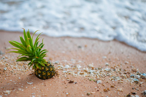 Pineapple on the beach.Tropical summer delights. Fresh pineapple on the beach.Pineapple on hawaii beach with soft wave.Pineapple on soft wave at summer in Hawaii beach. - Zdjęcie, obraz