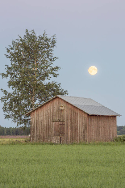 Barn in Farmfield by Tree with a Full Moon. - Photo, Image