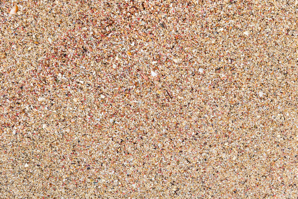 closeup of color sand on the beach with small peaces of broken seashells - 写真・画像