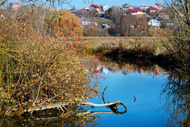 Een uitzicht op de blauwe waterstroom en de vegetatie op het platteland. Mooie herfst landschap. - Foto, afbeelding
