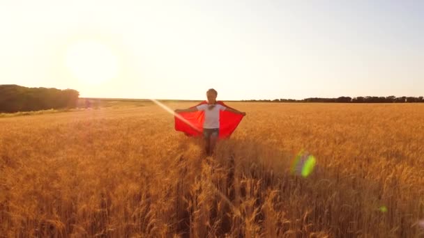 chica juega Superhéroe, niño corre en capa roja a través del campo con trigo bajo el cielo azul. Movimiento lento
. - Imágenes, Vídeo