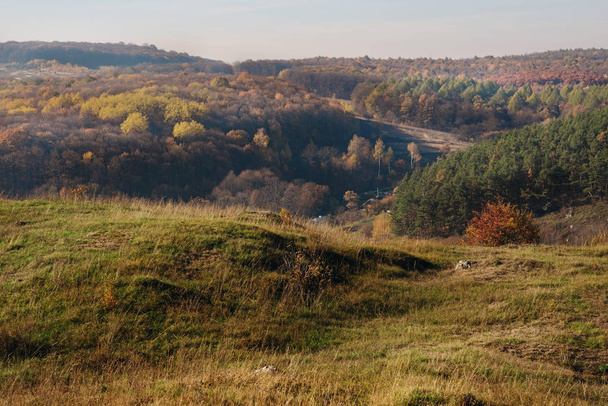 Vista sobre a bela paisagem colorida outono das colinas e campos verdes com árvores e grama sobre o campo
. - Foto, Imagem