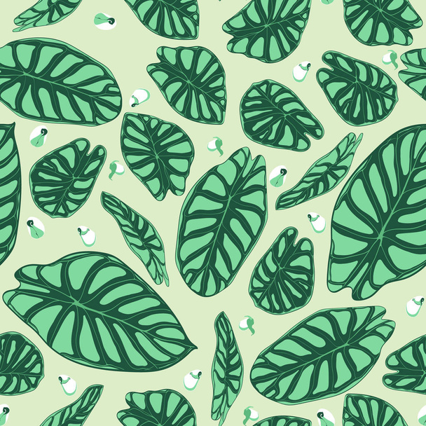 Varrat nélküli trópusi mintát. Trendi háttér eső erdei növények. Vektor levél Alocasia. Zöld Kontyvirágfélék. Kézírásos dzsungel lombozat akvarell stílusú. Varrat nélküli egzotikus mintás cserép, szövet. - Vektor, kép