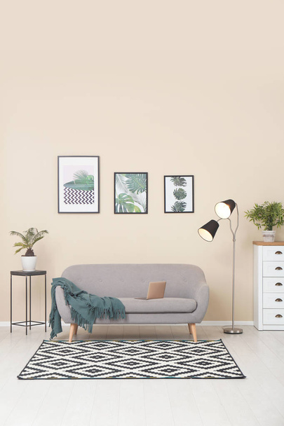 Stylish light room interior with comfortable gray sofa - Фото, зображення