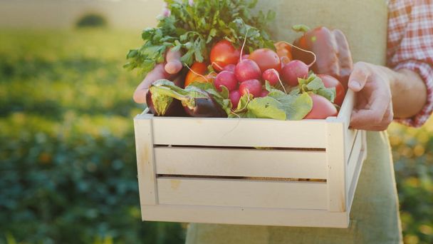 The farmer is holding a wooden box with fresh vegetables. Organic agriculture concept - Φωτογραφία, εικόνα