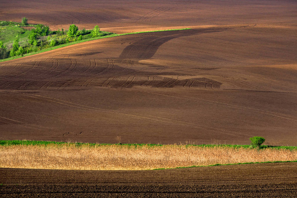 Mooie zomerse landschap van de Oekraïense Polissya. Een heuvelachtig gebied. Oekraïne, Europees land. De schoonheid van de Oekraïense natuur trekt toeristen van over de hele wereld. - Foto, afbeelding
