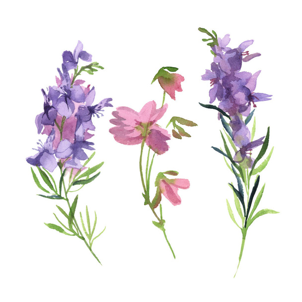 Watercolor illustration. A green branch with pink and purple wildflower isolate on white background - Foto, imagen