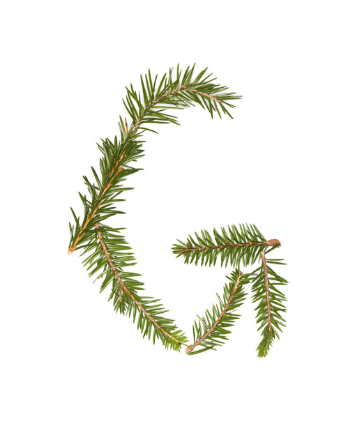 Spruce twigs forming 'G' - Φωτογραφία, εικόνα
