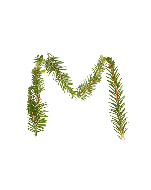 Spruce twigs 'M' - Fotó, kép