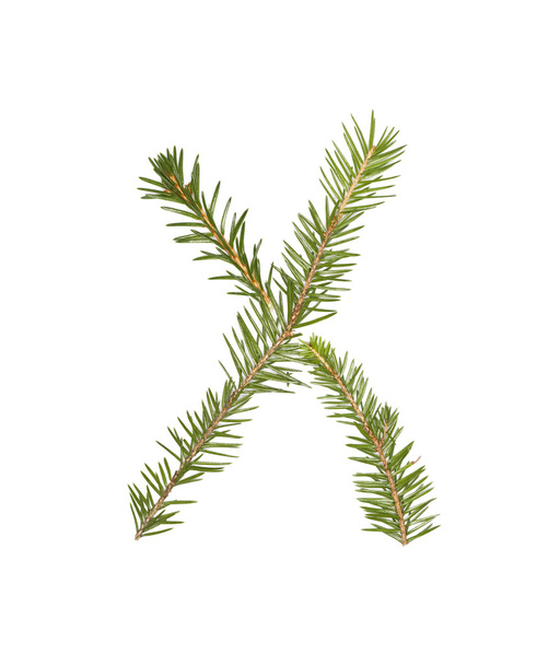 Spruce twigs 'X' - Φωτογραφία, εικόνα