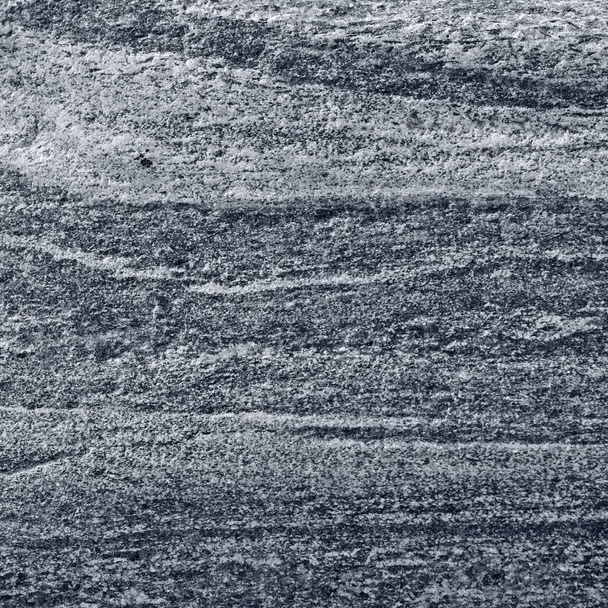 Migmatitic gneiss migmatite rock bands pattern, grey light dark banded granite texture macro closeup, large detailed textured silver gray horizontal background, coarse grained feldspar, quartz, crystals, mica minerals metamorphic gneissic foliation - Foto, Imagen