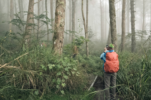 bergbeklimmers die lopen op het pad in de mist van bos - Foto, afbeelding