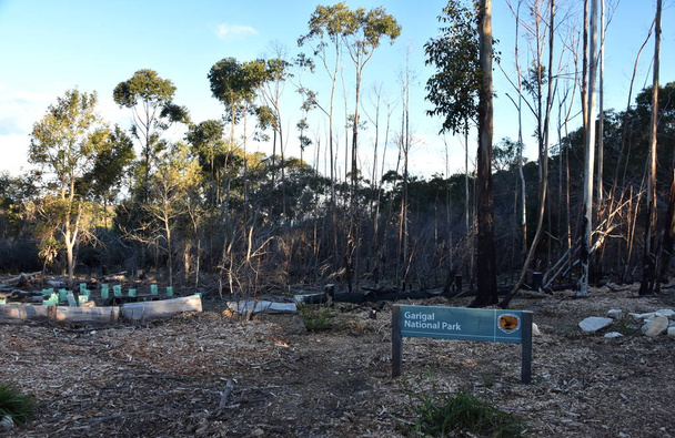 Сідней, Австралія - 13 липня 2018. Garigal Національний парк знак. Bushwalking, так і відпочинок в Garigal національному парку (Сідней, Сполучені Штати Америки) - Фото, зображення