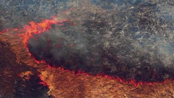 Luftaufnahme von brennendem Land unter Dürre - Filmmaterial, Video