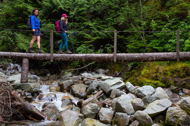 Hiking on a wooden bridge across a river creek in the woods. Taken on the trail to the top of Brunswick Mountain, North of Vancouver, BC, Canada. - Zdjęcie, obraz