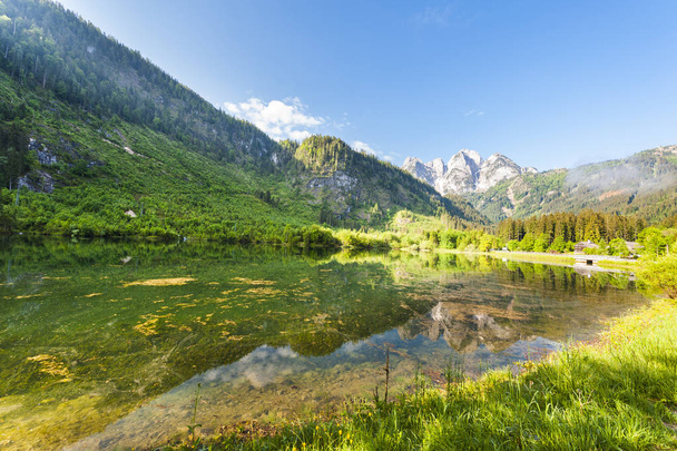 Osztrák táj az erdők, rétek, mezők és legelők körül a tó Gosausee, a háttérben az Alpok - Fotó, kép