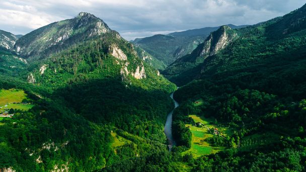 Εναέρια άποψη από μια κοιλάδα του βουνού, το δάσος, το φαράγγι του ποταμού Τάρα στο Εθνικό Πάρκο Ντουρμίτορ, Μαυροβούνιο - Φωτογραφία, εικόνα