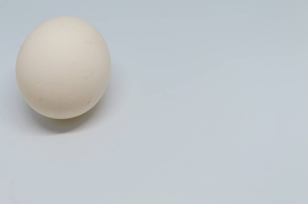 Egg isolated on white background cutout - Foto, immagini
