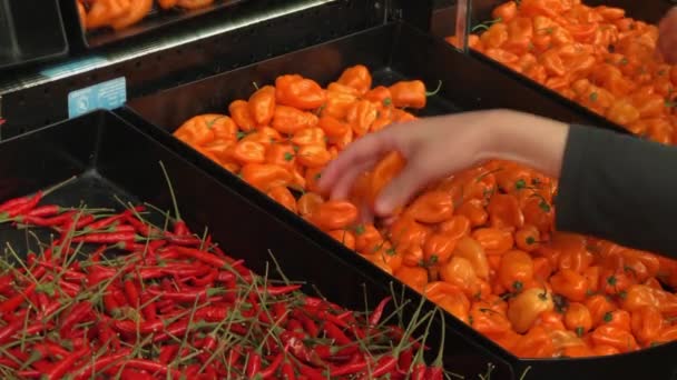 Movimiento de la mujer comprando chiles habaneros dentro de la tienda Save on Foods
 - Metraje, vídeo
