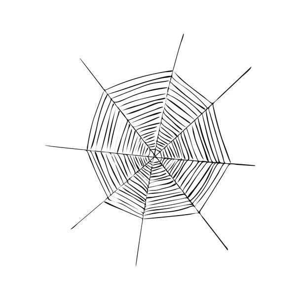 spinrag of spinnenweb. Spinnenweb voor Halloween. Zwart-wit - Vector, afbeelding