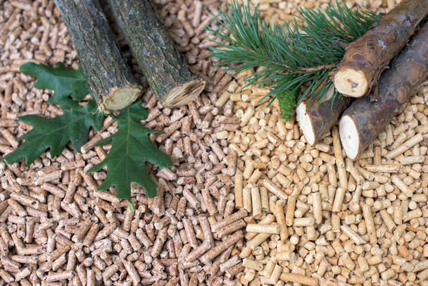 Dąb i kupie biomasy - pellets, drewna, liści, stożek - Zdjęcie, obraz