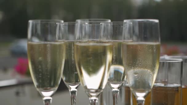 Champagne buborékok a pohár - Felvétel, videó
