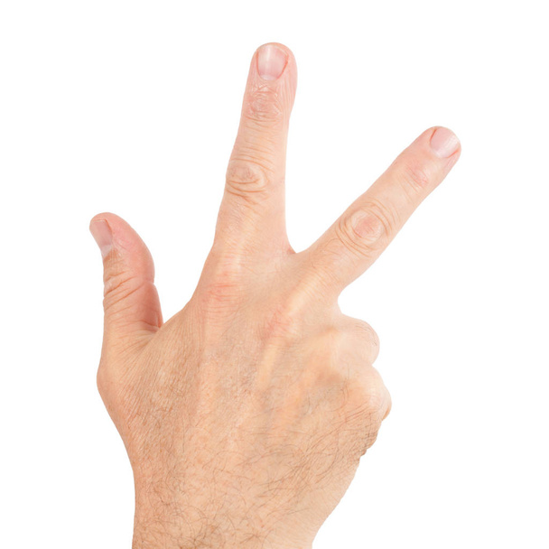 Ludzką ręką tyłu palcami pokazuje numer znak drzewa na białym tle. - Zdjęcie, obraz