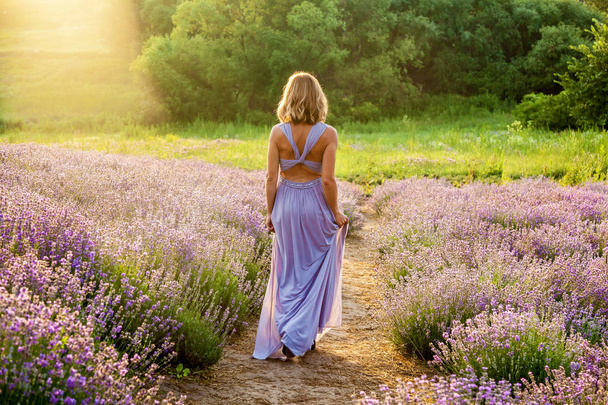 A young girl in a purple dress walks the lavender field in the morning sun - Photo, Image