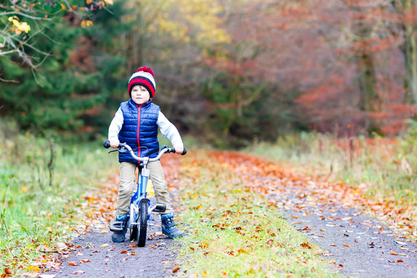 Маленький мальчик в разноцветной теплой одежде в осеннем лесном парке за рулем велосипеда - Фото, изображение