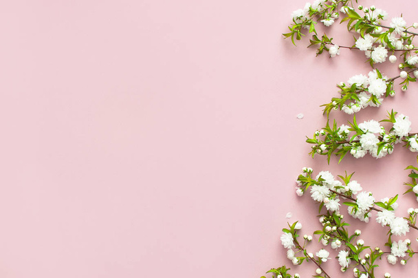 Hermosas ramitas de primavera suaves con flores blancas sobre un fondo rosa plano vista superior con espacio para el texto. Tarjeta de felicitación con flores delicadas
 - Foto, Imagen
