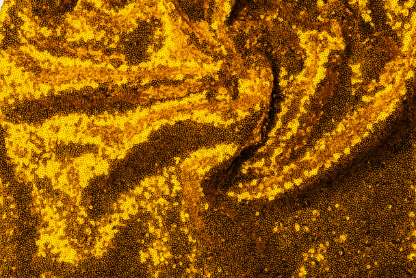 top view of yellow textile with glossing sequins as background  - Fotografie, Obrázek