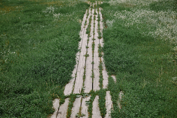 korkea kulma näkymä puinen polku ja vihreä ruoho puutarhassa
 - Valokuva, kuva