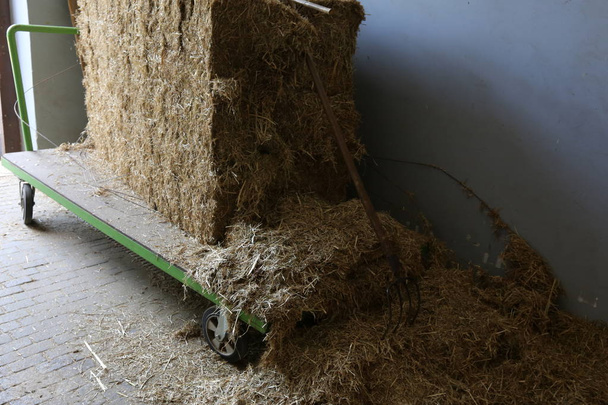 сухая солома и сено готовятся для корма животных
  - Фото, изображение