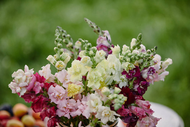 mazzo di fiori colorati sul tavolo in giardino
 - Foto, immagini