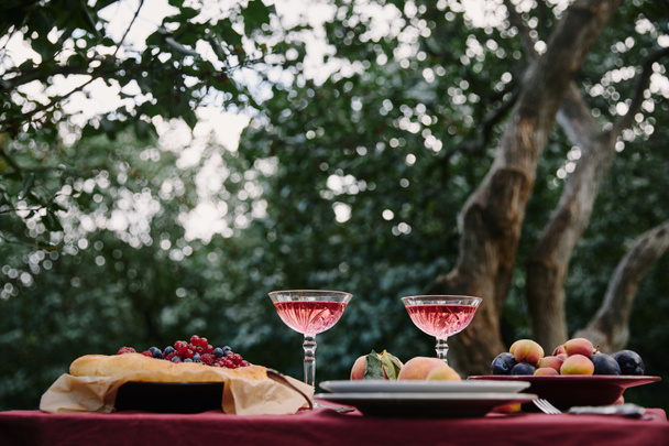 sklenice vína, koláč bobule a ovoce na stole na večeři v zahradě - Fotografie, Obrázek