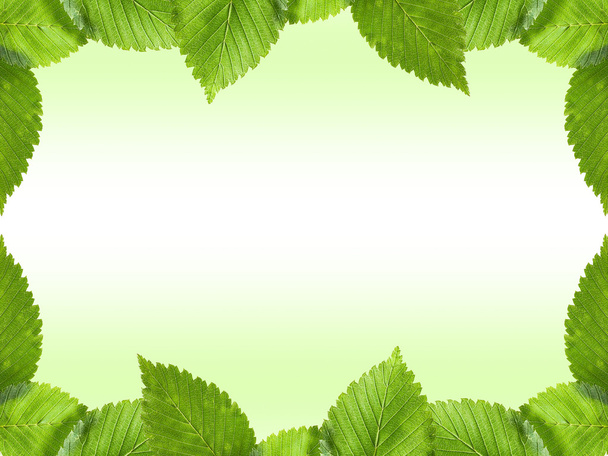 Quadro de folhas verdes
 - Foto, Imagem