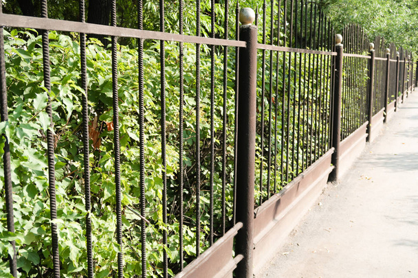 Metal fence along the garden - Photo, Image
