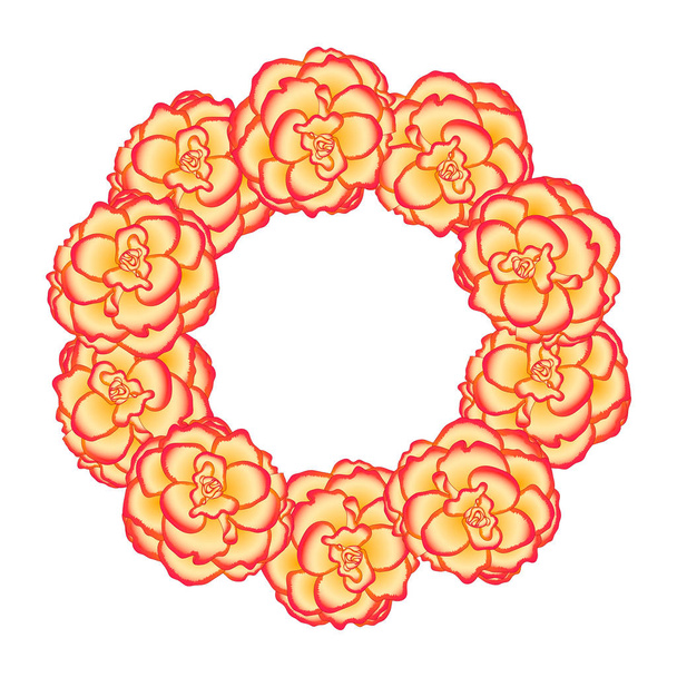 Begonia Flower, Picotee Sunburst Wreath. Vector Illustration. - Вектор,изображение