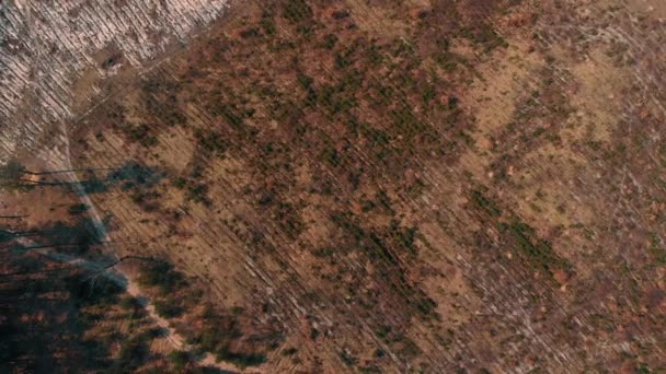 Bovenaanzicht van deforestated ruimte - Video