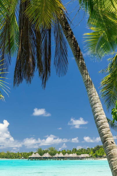 Vue paradisiaque de l'atoll de Rangiroa, Polynésie française
 - Photo, image