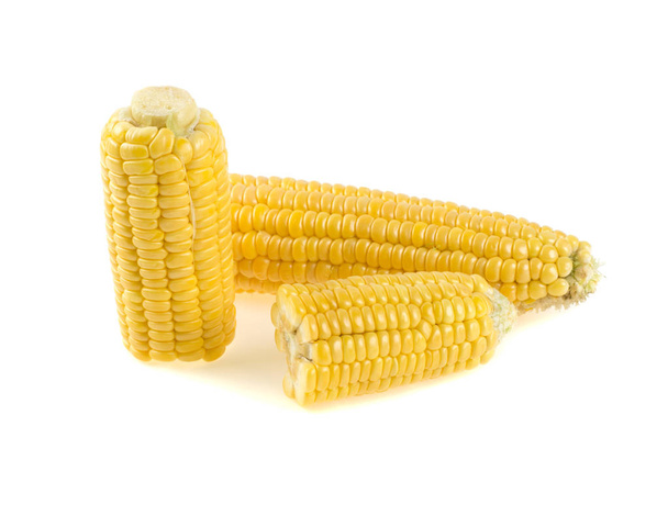 Kukorica fehér alapon - Fotó, kép