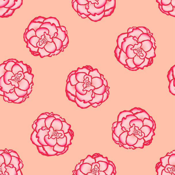 Pink Begonia Flower, Picotee First Love on Light Orange Background. Vector Illustration. - Vektor, obrázek