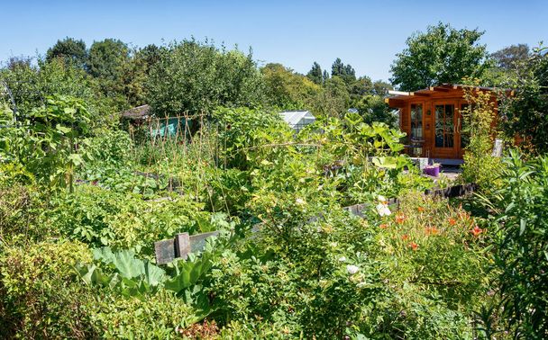 Wiata ogrodowa ogród kuchnia w Holandii - Zdjęcie, obraz