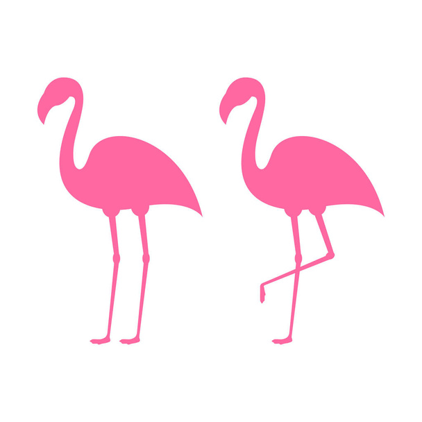 Pink flamingo. Exotic tropical bird. Pink flamingo vector silhouette. Decoration element. Vector illustration isolated on white background - Vector, Image
