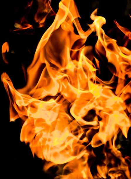 Fire flames on a black background - Photo, Image