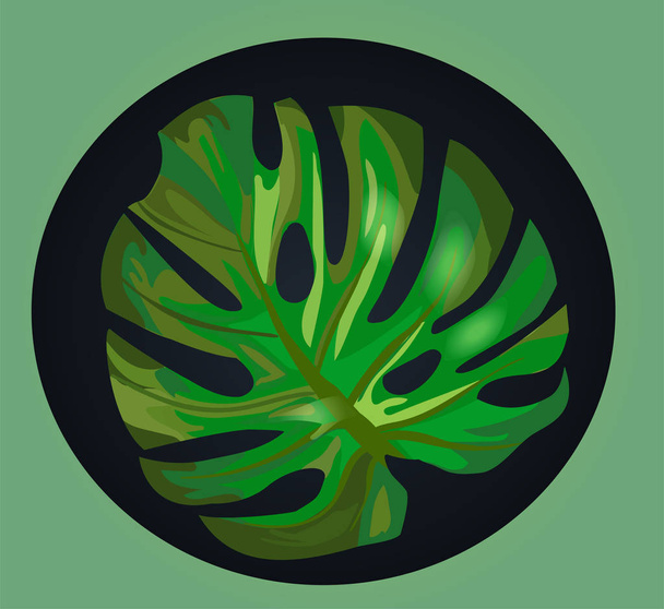 Ícone vetor de folha tropical - close-up logotipo estilo botânico em um fundo verde
 - Vetor, Imagem