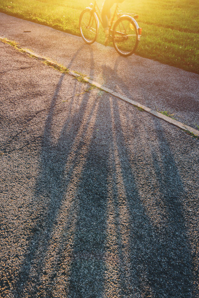 Shadow of a female riding bicycle on the street in summer sunset - 写真・画像