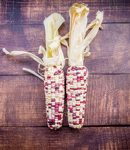 pair of indian corn cobs on dark wood background - Photo, Image