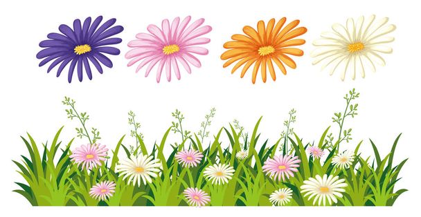 Beyaz arka plan illüstrasyon güzel papatya çiçek - Vektör, Görsel